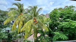 Toh Yi Court (D21), Condominium #536230741